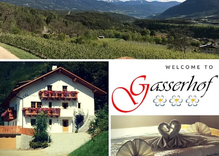 Gasserhof Aicha