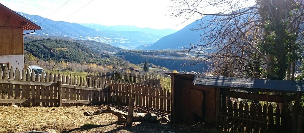 Apartment Gasserhof Aicha